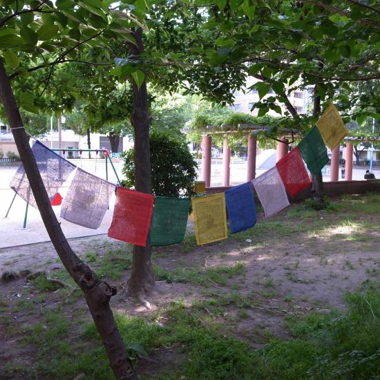 2011_0507_160516-R0021188_small