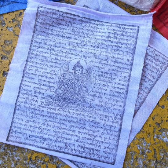 2011_0507_160708-R0021192_small