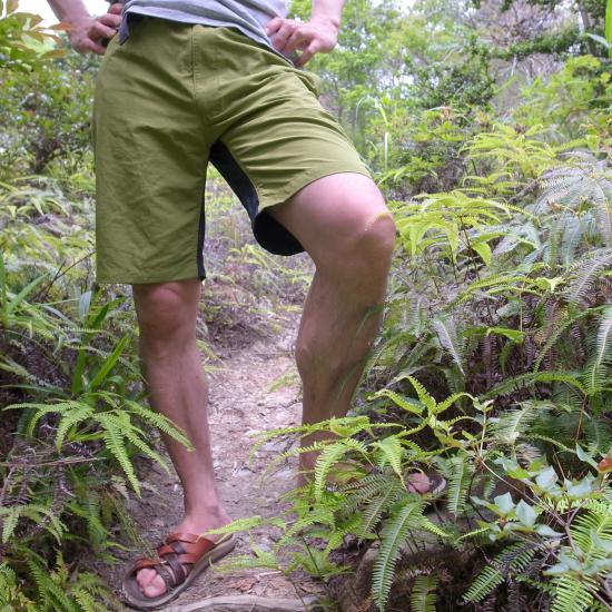 2012_0627_122011-R0026618_small