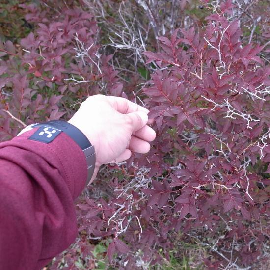 2012_0912_123850-R0027327_small