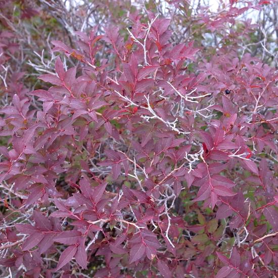 2012_0912_123844-R0027326_small