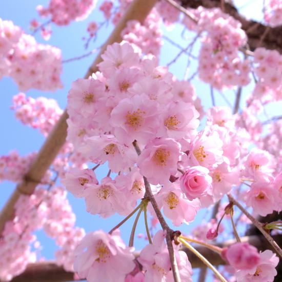 2012_0412_091059-R0025404_small