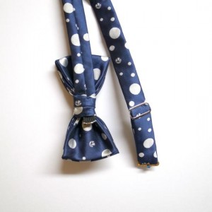 2013_0402_204328-R0029578_small