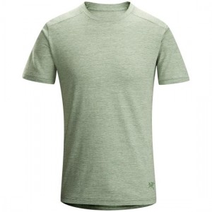 Envoy-SS-Bonsai_small