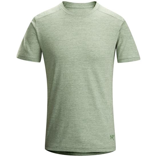 Envoy-SS-Bonsai_small