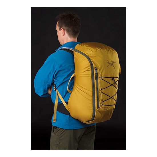 Miura-45-Backpack-harvest-rear-side-view_small
