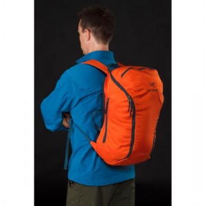 Sebring-25-Backpack-Chipotle-rear-side-view_small