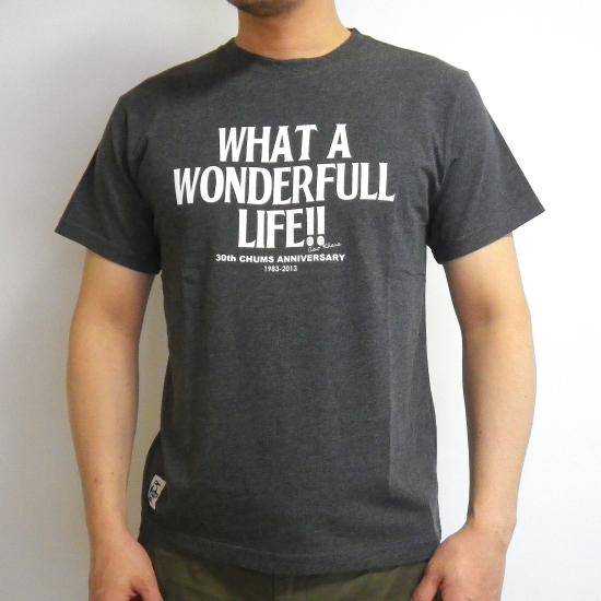 2013_0427_105520-IMGP4603_small