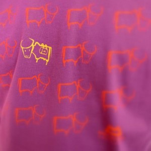 2013_0515_160804-R0030311_small