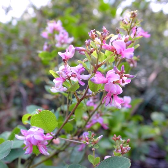 2012_1010_140526-R0027681_small