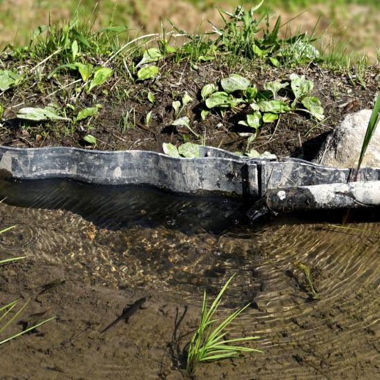 DSC06227a - コピー_small